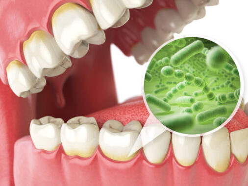 bacteries