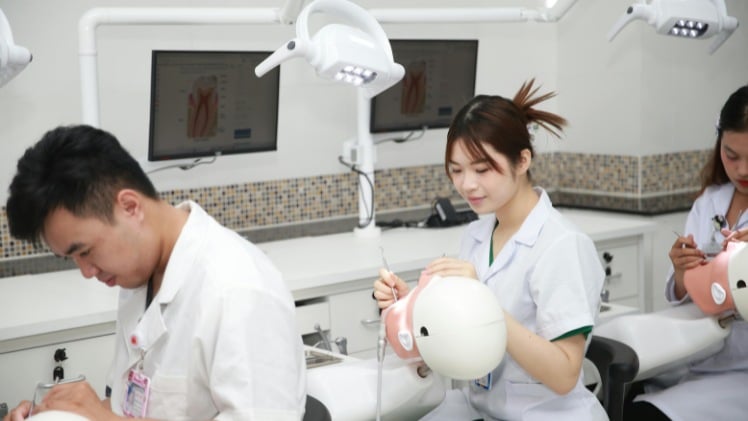 Une formation de futurs dentistes